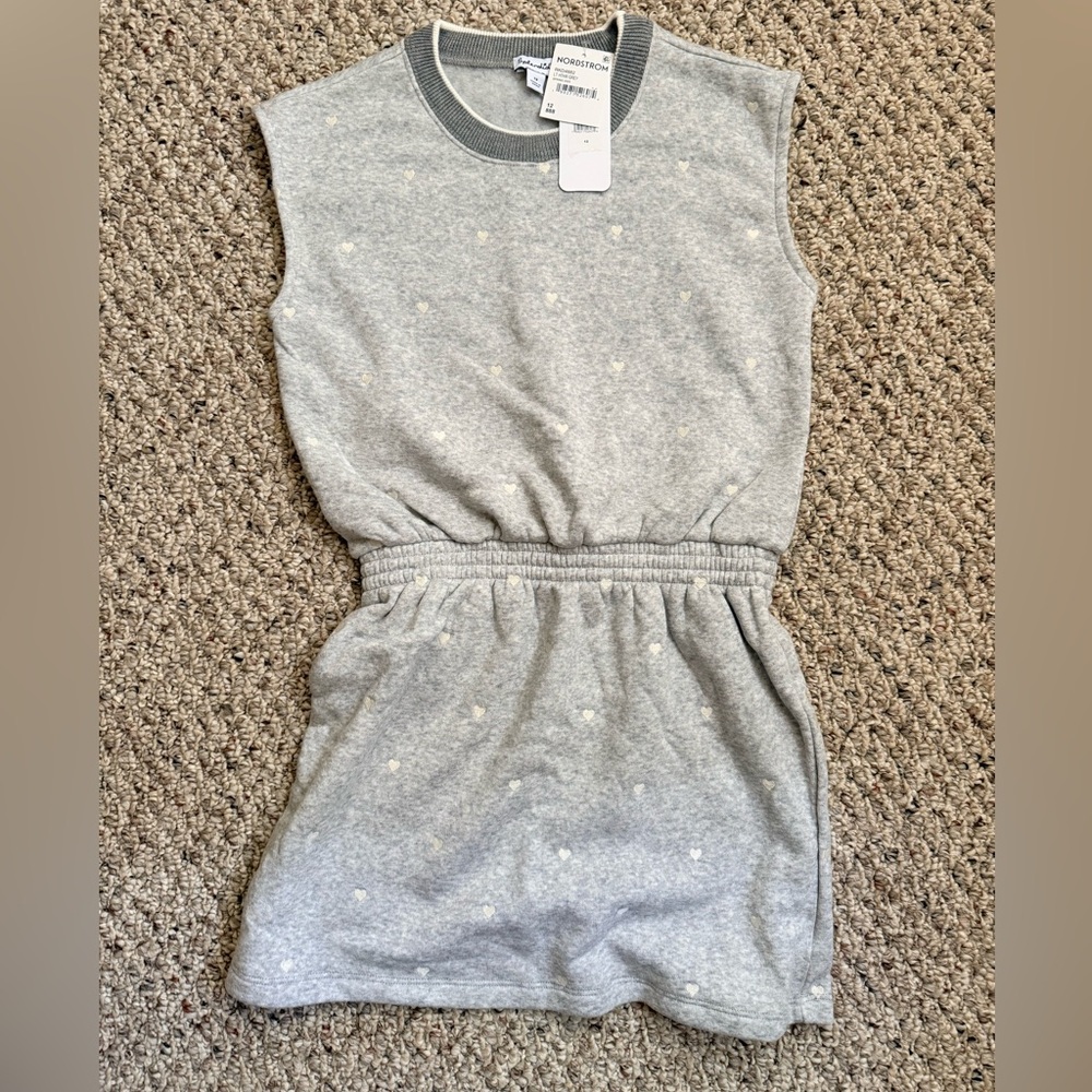 Splendid Light Gray Kids Fleece Dress